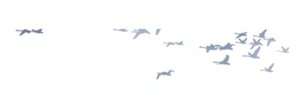 ��ҳ|���������й��ٷ���վ